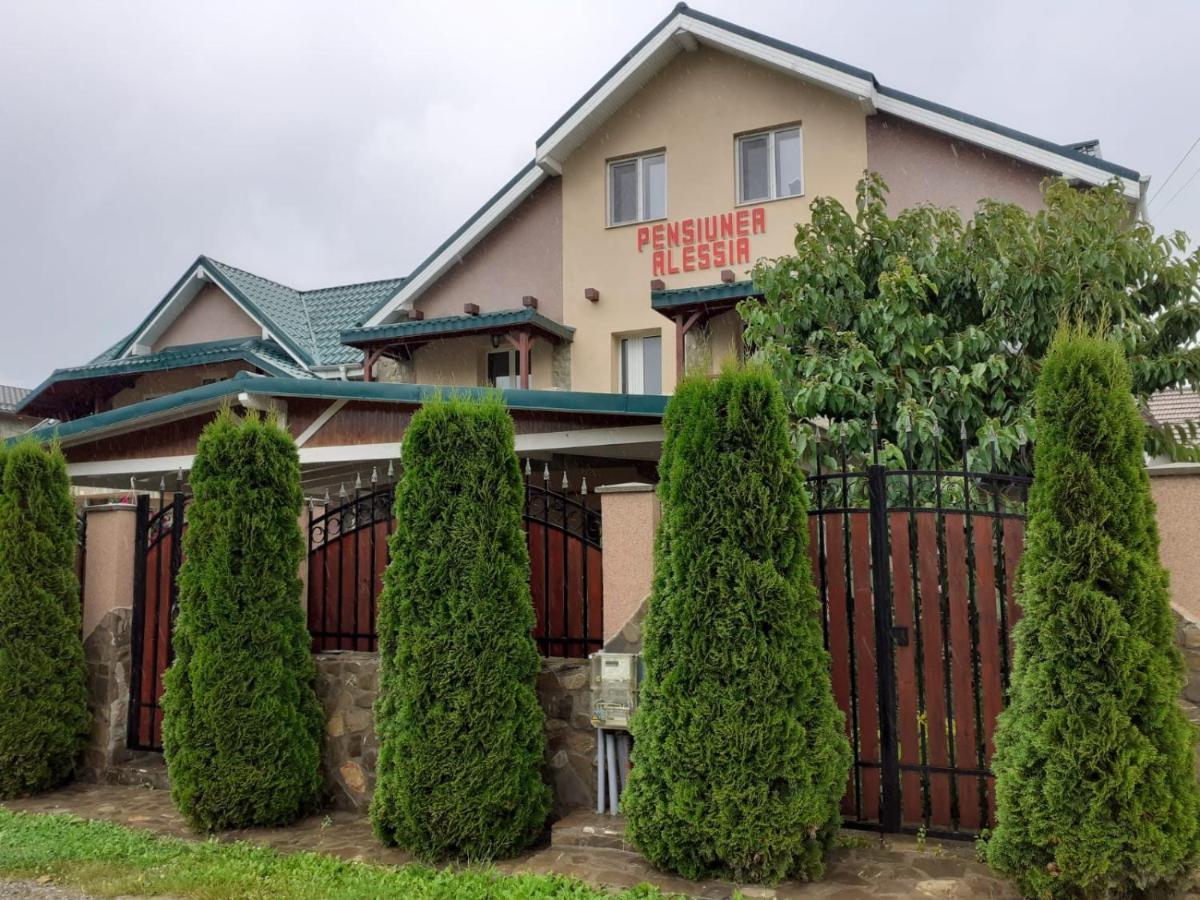 Pensiunea Alessia Piatra Neamt Exterior photo